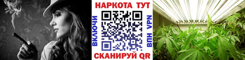 Как найти наркотики Кириши МАРИХУАНА  Alpha PVP  Гашиш  Меф  АМФ  MEGA маркетплейс  Cocaine 