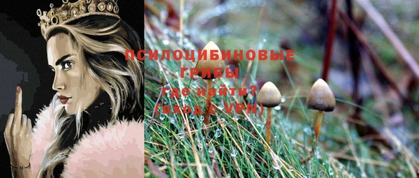 трава Армянск