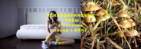 кокс Баксан