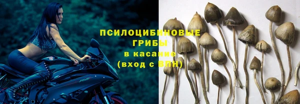 трава Армянск
