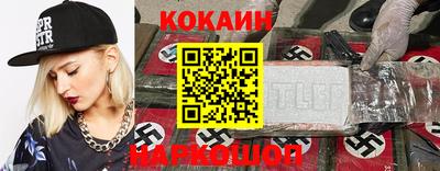 Альфа ПВП Ачхой-Мартан