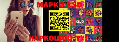 Альфа ПВП Ачхой-Мартан