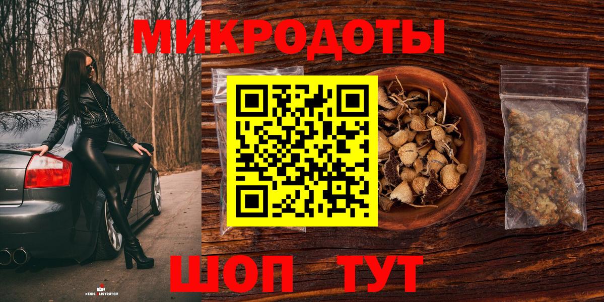Псилоцибиновые грибы Psilocybe Кириши
